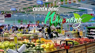 Chuyển động Nhà nông 14/9: Kiên quyết xử lý nghiêm hành vi đầu cơ, tăng giá bất hợp lý sau bão Yagi
