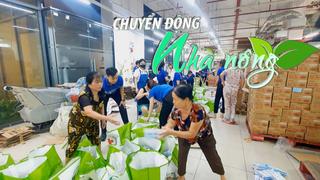 Chuyển động Nhà nông 16/9: Triển khai chương trình “Hàng hóa không lợi nhuận dành cho bà con, các tổ chức cứu trợ vùng lũ”