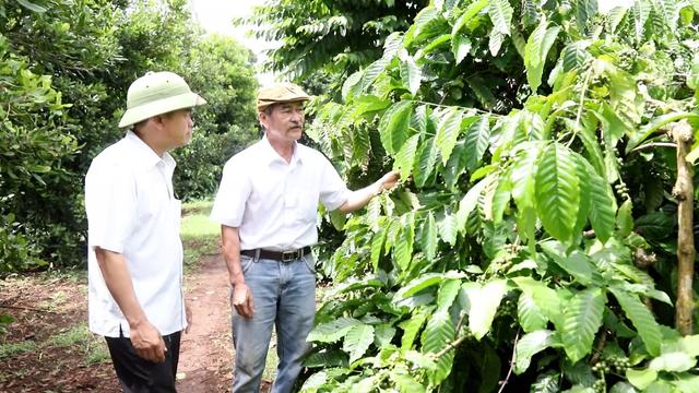 Hội Nông dân – Điểm tựa để Đắk Lắk bứt phá trong xây dựng nông thôn mới