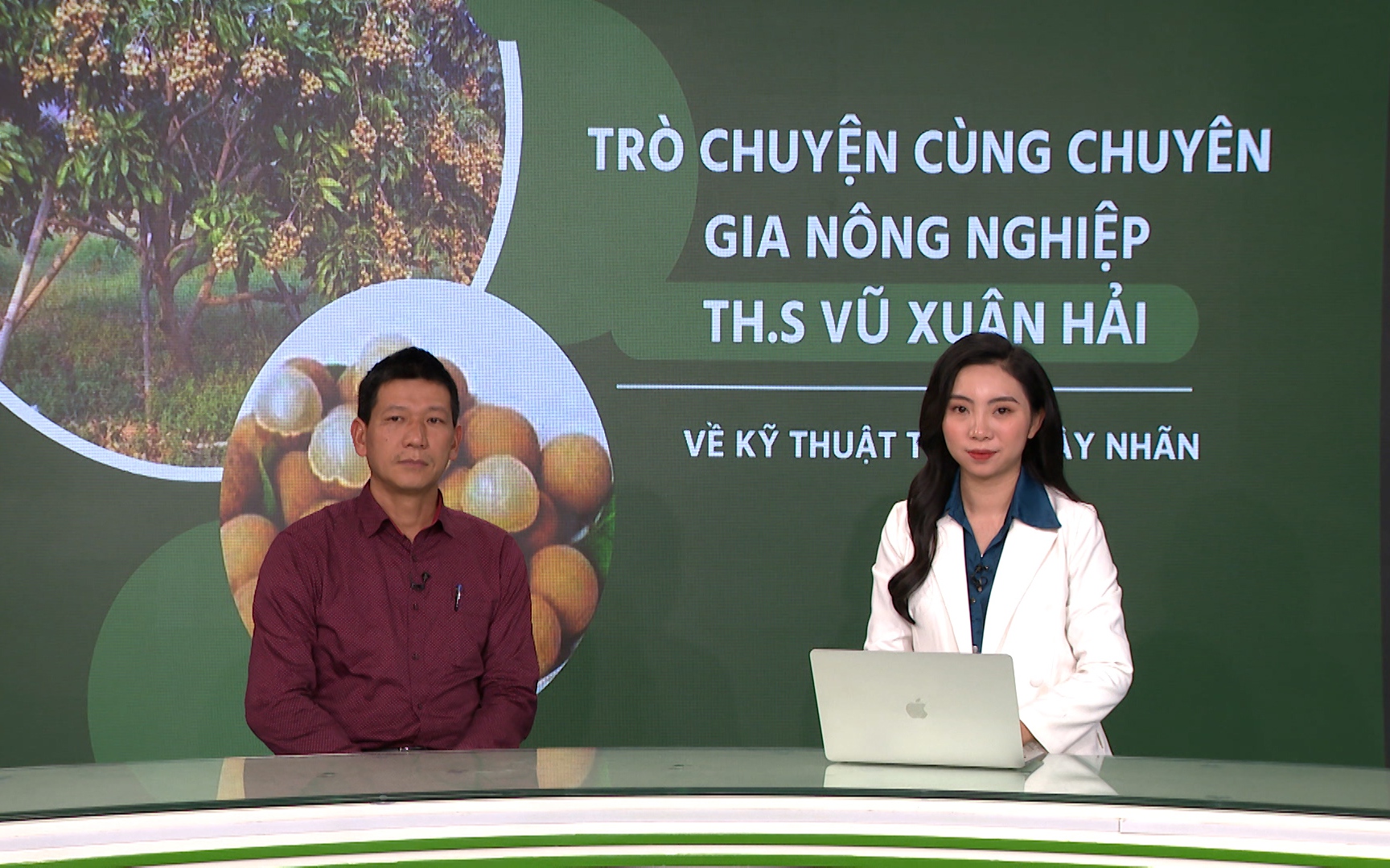 GÓC CHUYÊN GIA: Phương pháp tiêu diệt bọ xít trên cây nhãn 