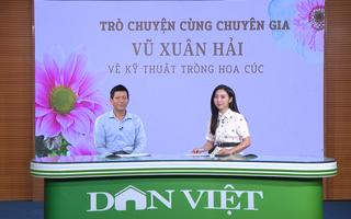 GÓC CHUYÊN GIA: Phòng trừ sâu bệnh gây hại trên cây hoa cúc sau ngập úng 