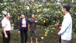 Nông dân xã Quy Mông (tỉnh Lào Cai) phát huy nguồn vốn vay phát triển kinh tế, xây dựng nông thôn mới