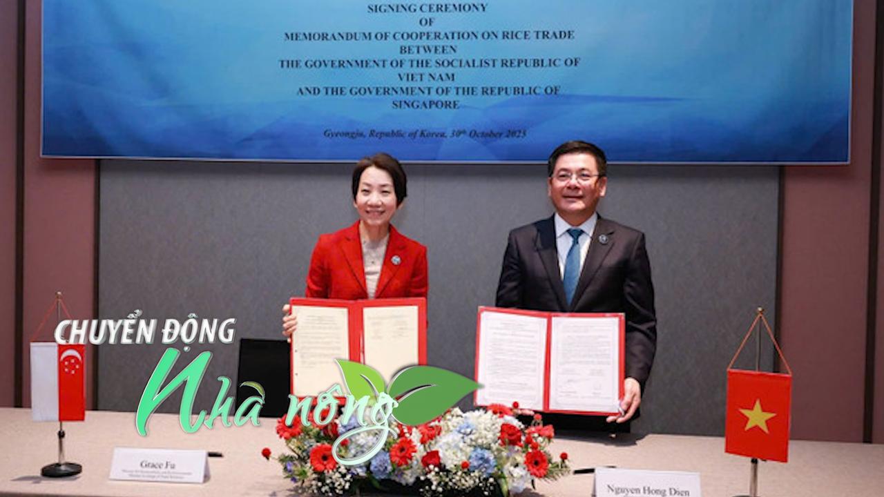 Chuyển động Nhà nông 30/10: Việt Nam là đối tác thương mại gạo đầu tiên của Singapore