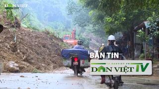 Bản tin Dân Việt TV 2/8: 36 người thiệt mạng và mất tích do mưa lớn ở miền Bắc trong tháng 7