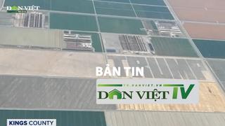 Bản tin Dân Việt TV 10/8: Nông dân Mỹ ủng hộ cựu tổng thống Trump bằng biểu tượng lớn trên cánh đồng