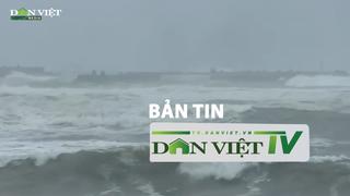 Bản tin Dân Việt TV 17/8: Nhật Bản đưa ra cảnh báo về lũ lụt và lở đất ở những nơi bão Amil đi qua