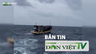 Bản tin Dân Việt TV 19/3: Tìm kiếm tàu cá cùng 4 ngư dân mất tích trên biển ở Nghệ An