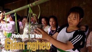 Nguồn vốn chính sách – “Bà đỡ” giúp nông dân  vùng cao Lào Cai thoát nghèo bền vững