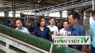 Bản tin Dân Việt TV 27/8: Gợi mở 5 nội dung về công tác tuyên truyền, vận động hội viên, nông dân