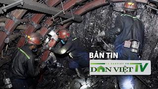 Bản tin Dân Việt TV 30/7: Tai nạn hầm lò trong đêm, 5 công nhân than Quảng Ninh tử vong