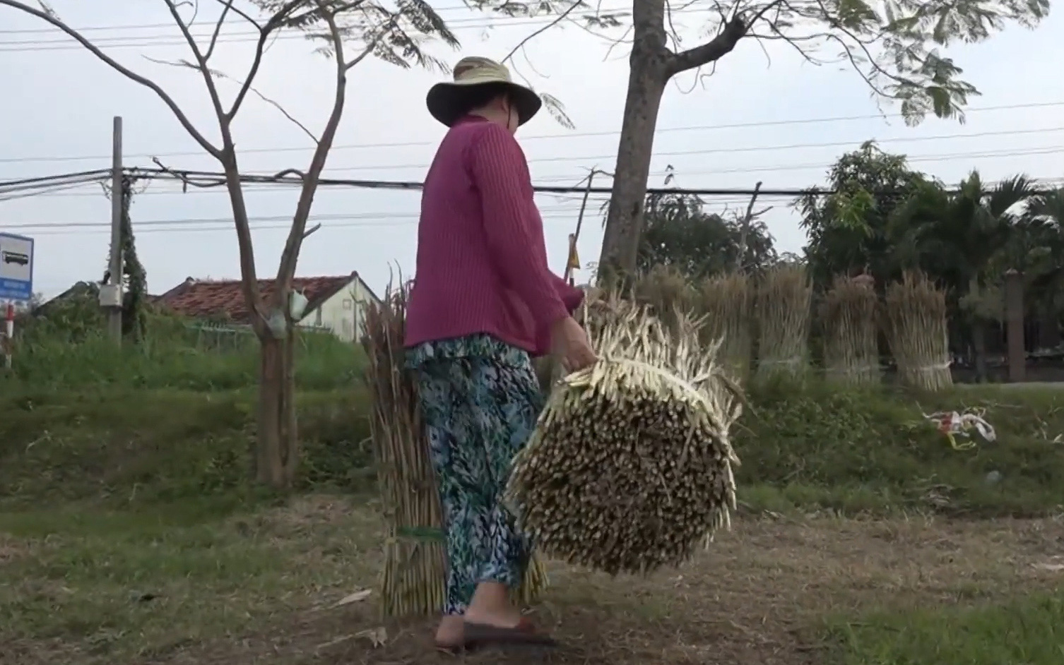 Làm phao câu cá từ thân cây ngô tăng thu nhập cho người dân