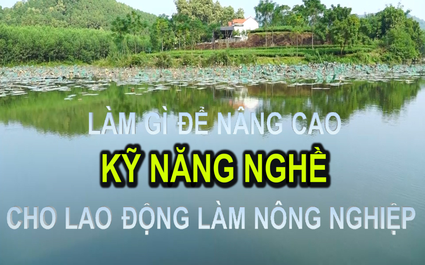 Tọa đàm: Tăng cường xây dựng kỹ năng nghề trong ngành nông nghiệp