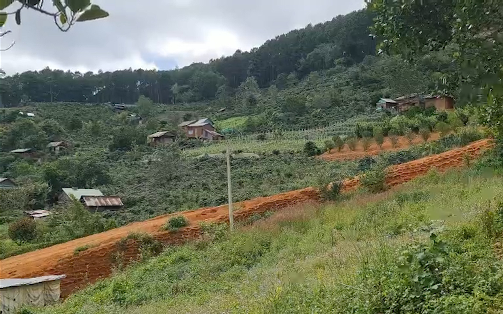 Clip: Cưỡng chế, tháo dỡ nhiều căn nhà trong “làng biệt thự” ở Lâm Đồng sau phản ánh của báo Dân Việt