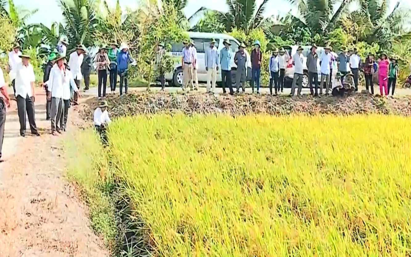 Vĩnh Long: Áp dụng thành công nhiều giải pháp giảm nghèo hiệu quả, bà con nông dân mừng vui "ăn Tết" 