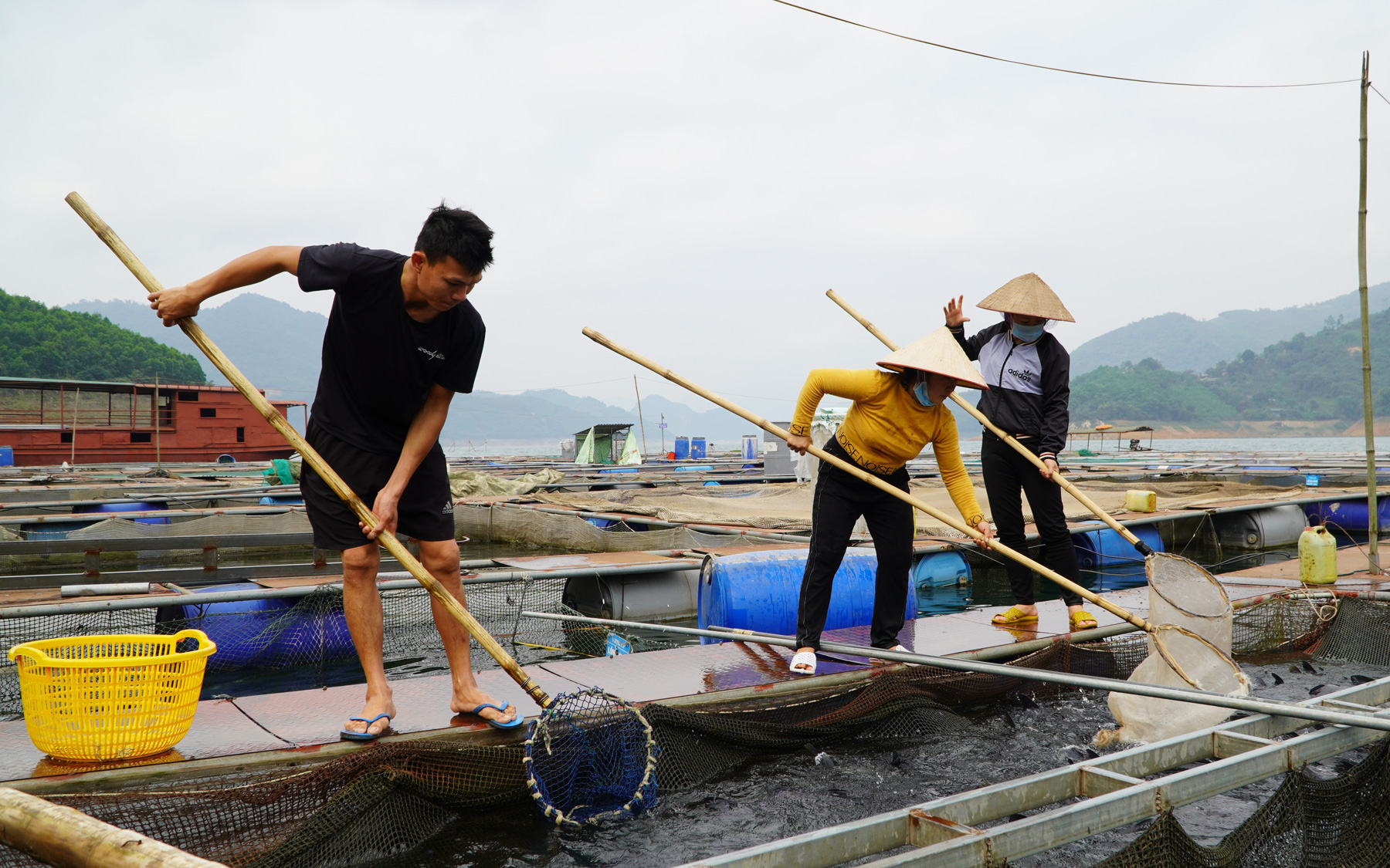 Thu 40 tỷ nhờ nuôi cá đặc sản trên lòng hồ thủy điện