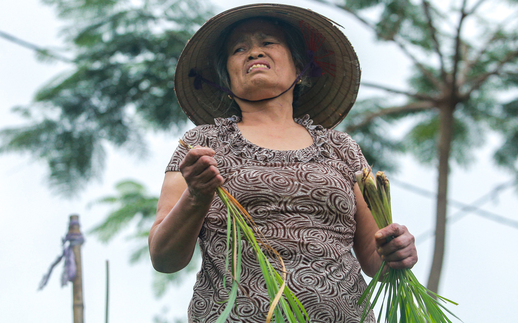 Hà Nội: Nông dân "kêu cứu" vì kênh thủy lợi ô nhiễm khủng khiếp giữa lòng Thủ đô