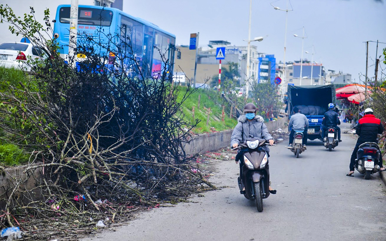 Hết cơn sốt tiền triệu, hoa lê rừng vứt đống đầy đường chờ đốt bỏ