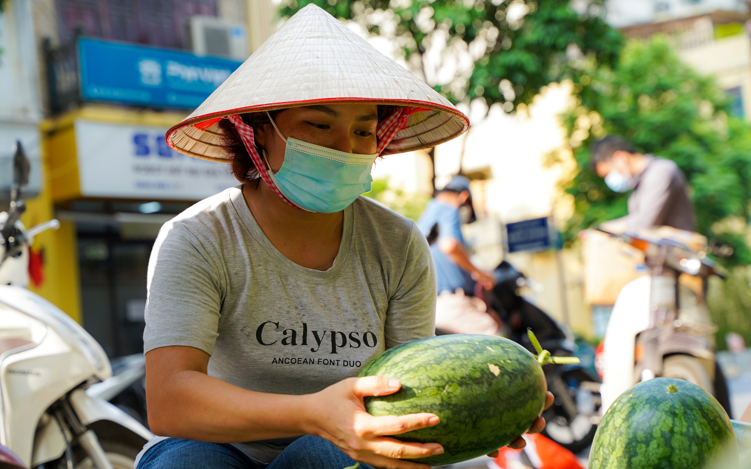 Hơn 60 tấn dưa hấu Bắc Giang được người dân Hà Nội giải cứu