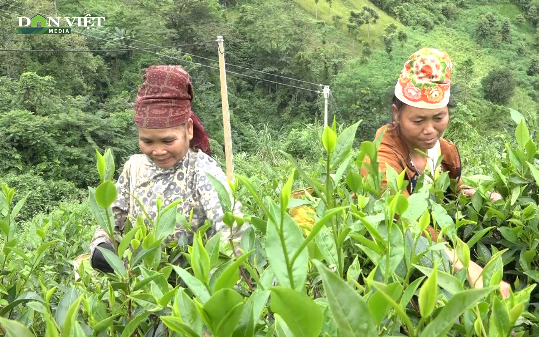 Phát triển kinh tế hộ gia đình, hướng đi thoát nghèo cho nông dân vùng cao