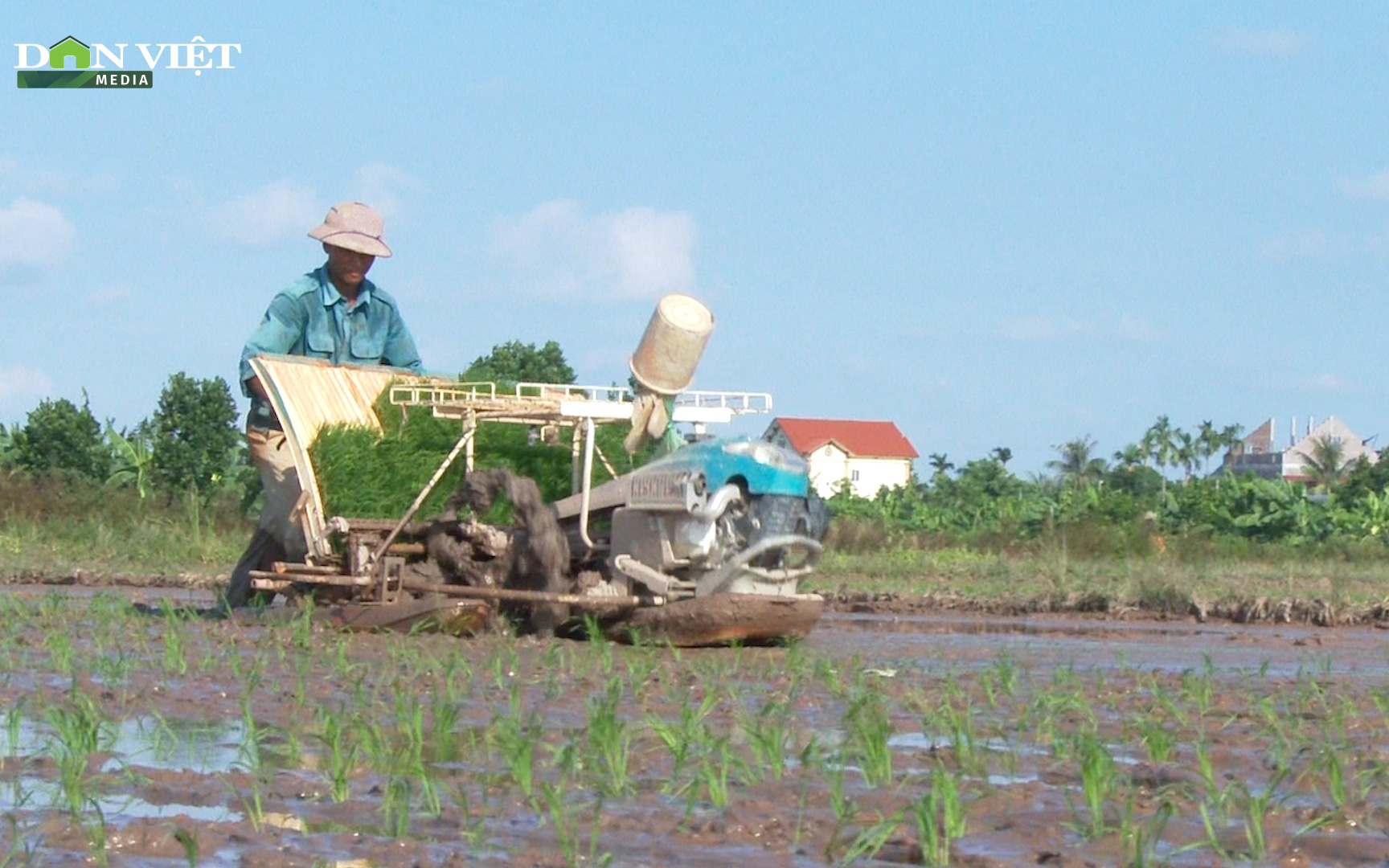 Hải Dương tăng cường cơ giới hóa vào sản xuất nông nghiệp nhờ công nghệ mạ khay, cấy máy