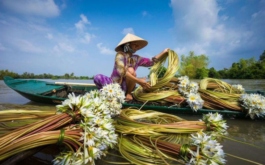 Nao lòng trước vẻ đẹp của mùa nước nổi An Giang