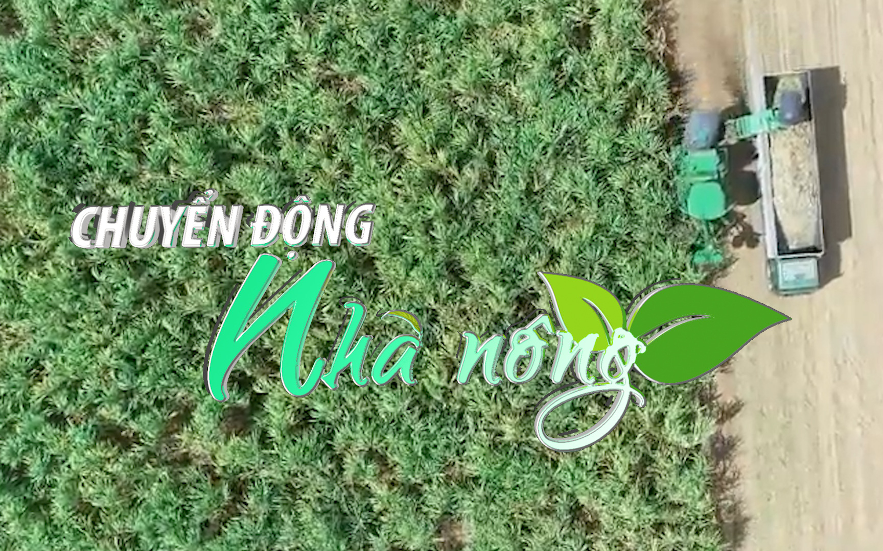 Chuyển động Nhà nông 16/01: Tái diễn tình trạng tranh mua mía nguyên liệu ở Gia Lai