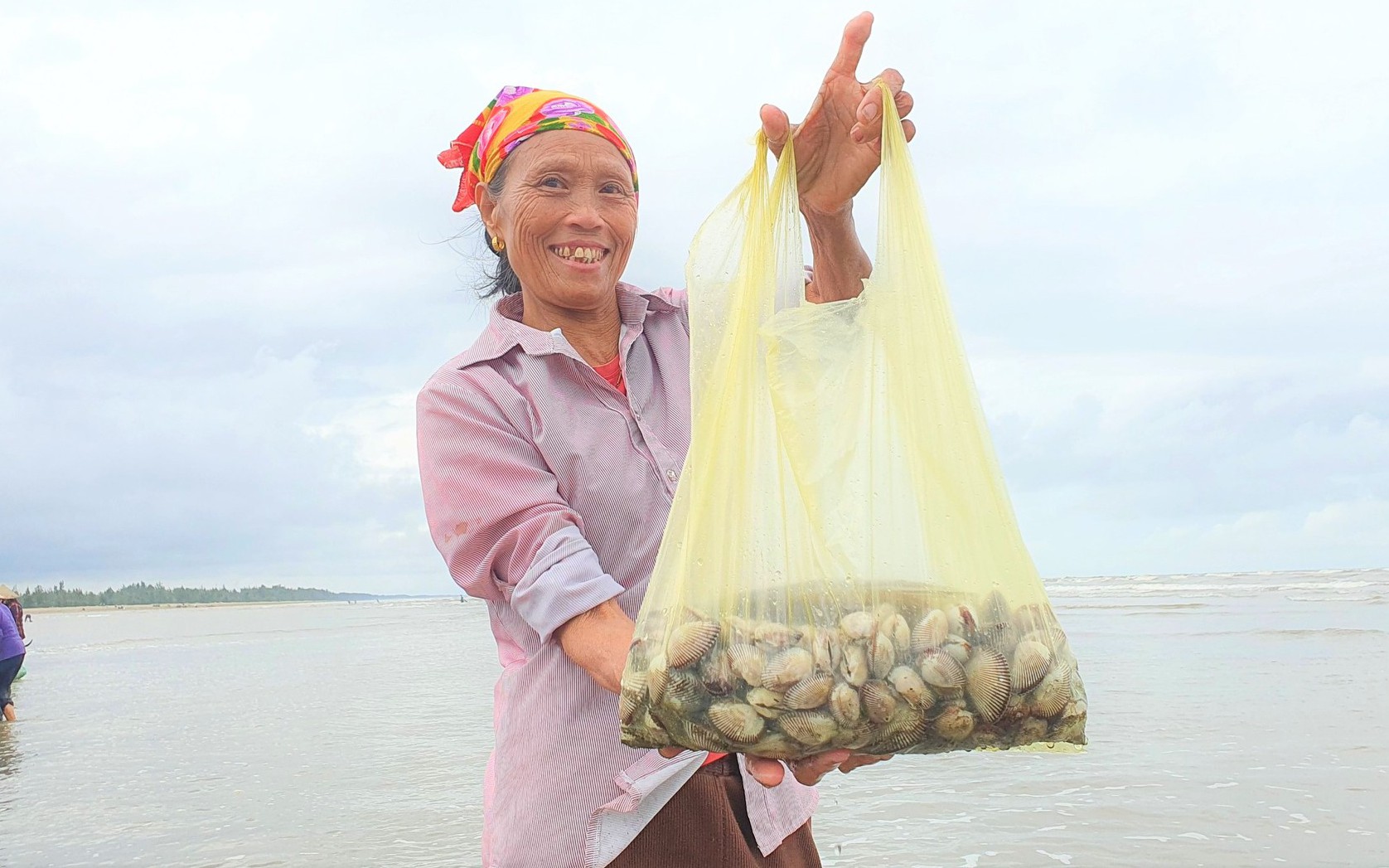 Sau bão, người dân Hà Tĩnh vui mừng vì bội thu "lộc biển"