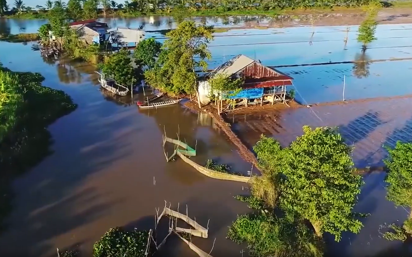 Về Vàm Nao đặt dớn bắt cá mùa nước nổi