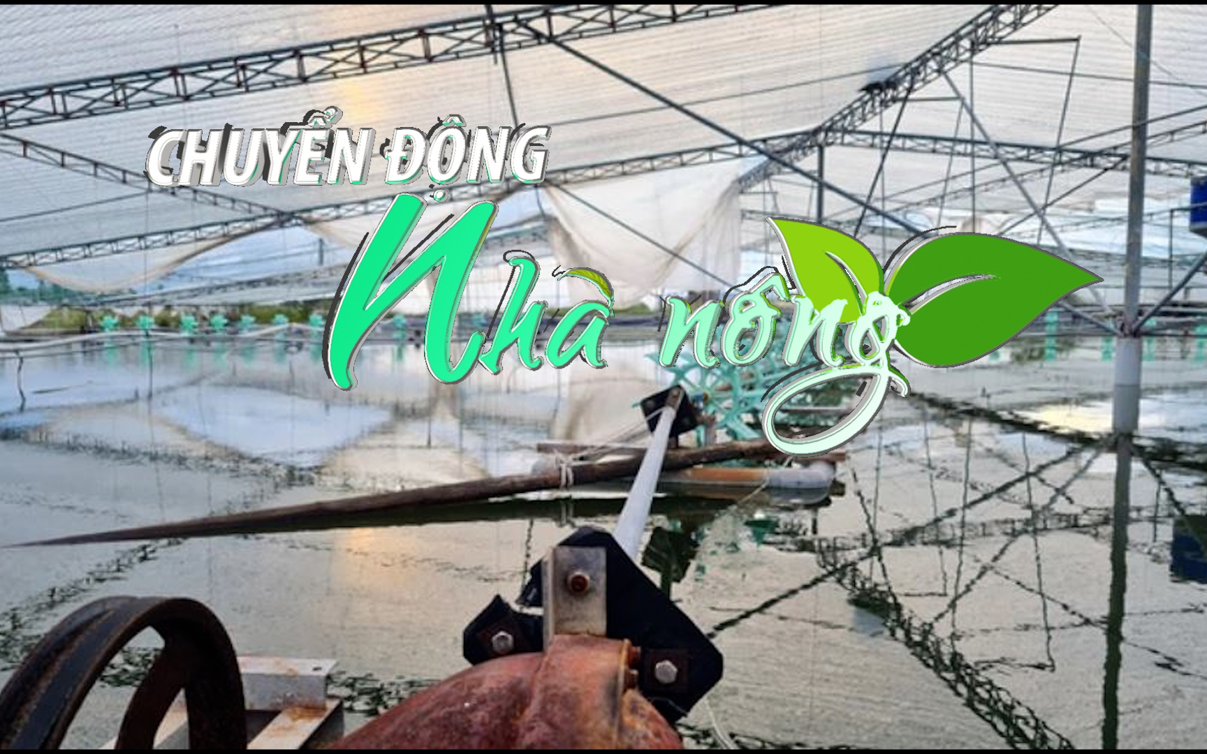 Chuyển động Nhà nông 3/10: Lũ san phẳng gần 9.000 ha nuôi trồng thủy sản tại Nghệ An