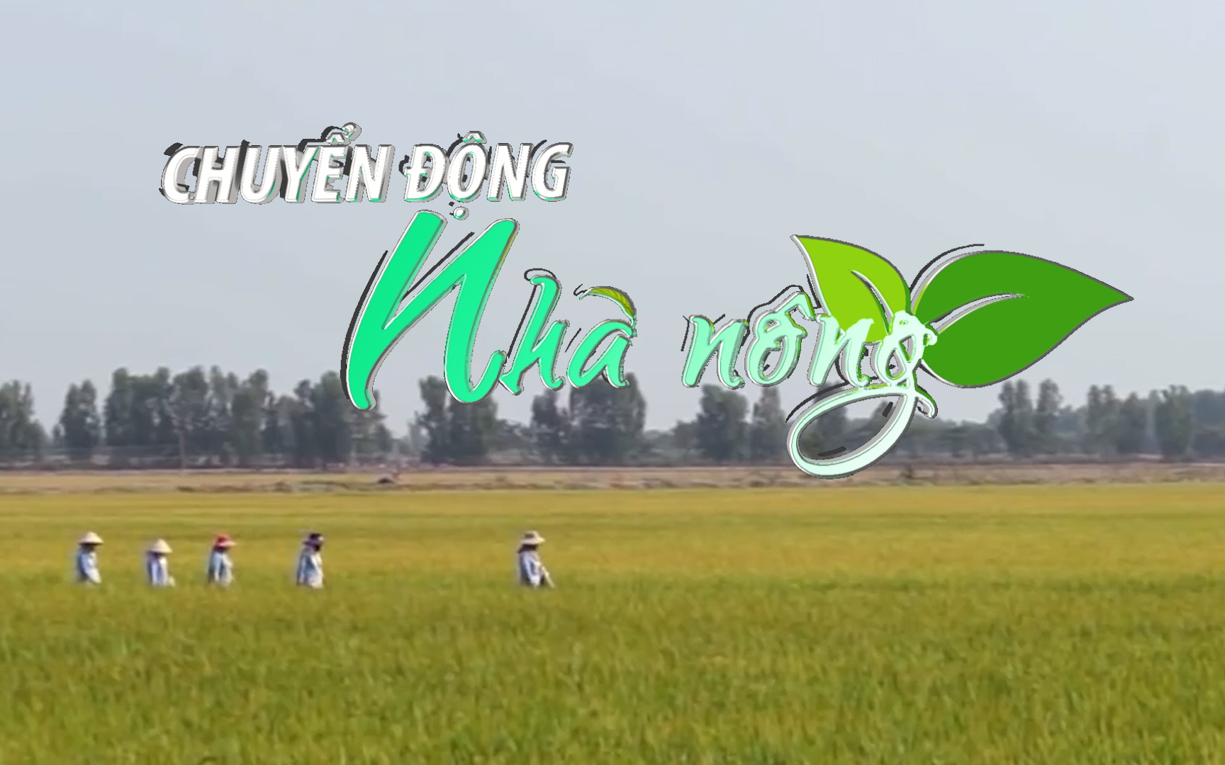 Chuyển động Nhà nông 4/10: Đảm bảo an ninh lương thực, đẩy mạnh xuất khẩu