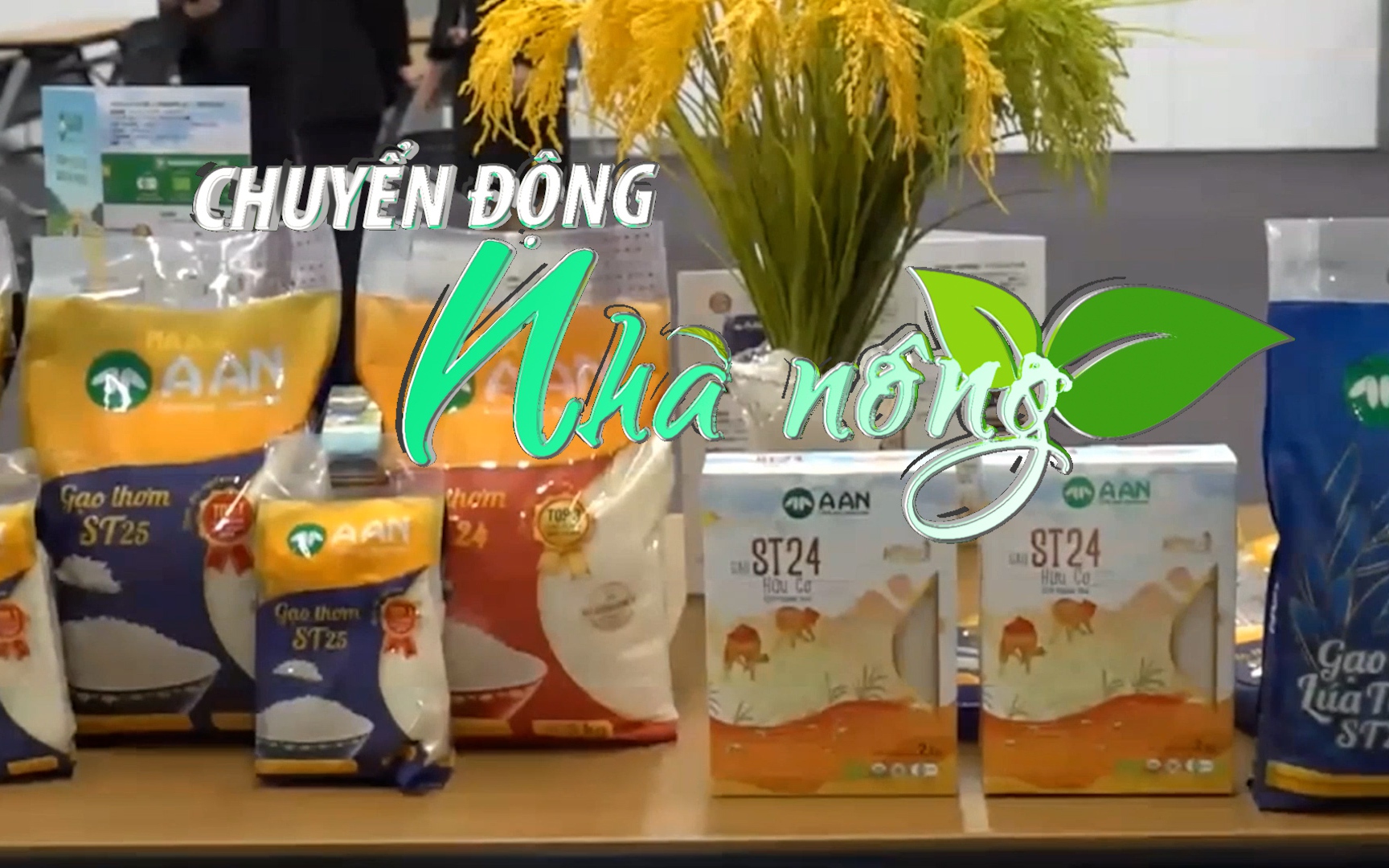 Chuyển động Nhà nông 5/10: Nhãn hiệu gạo ST24 và ST25 của kỹ sư Hồ Quang Cua được bảo vệ tại Australia