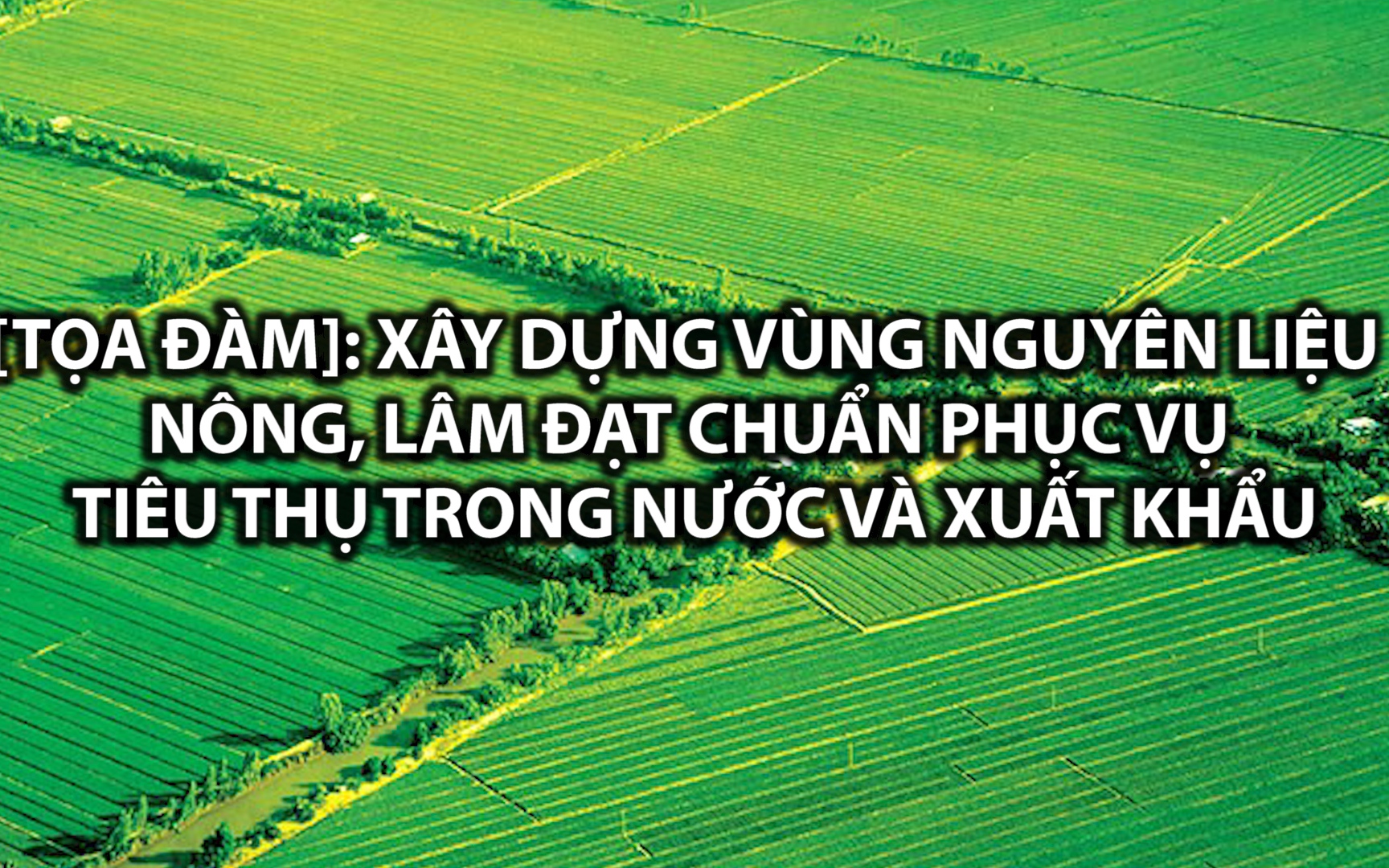 [TỌA ĐÀM] Xây dựng vùng nguyên liệu nông, lâm sản đạt chuẩn phục vụ thị trường trong nước và xuất khẩu