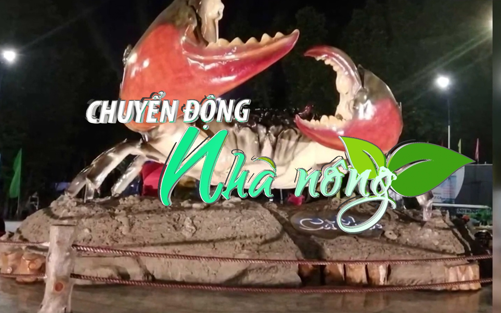 Chuyển động Nhà nông 17/12: Cà Mau sẵn sàng cho Ngày hội cua lần đầu tiên