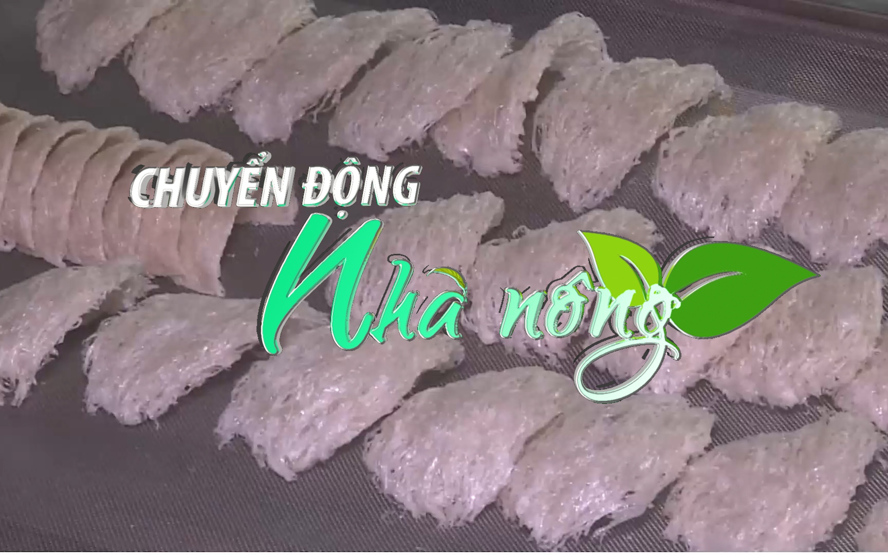 Chuyển động Nhà nông 28/12: 7 bước để doanh nghiệp đăng ký xuất khẩu tổ yến sang Trung Quốc