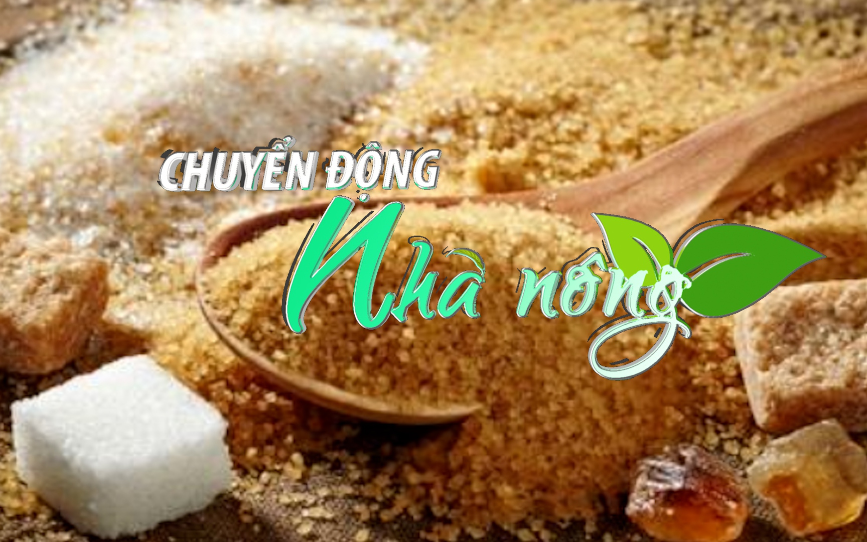 Chuyển động Nhà nông 3/12: Bộ Công Thương sẽ đấu giá bổ sung 200.000 tấn đường