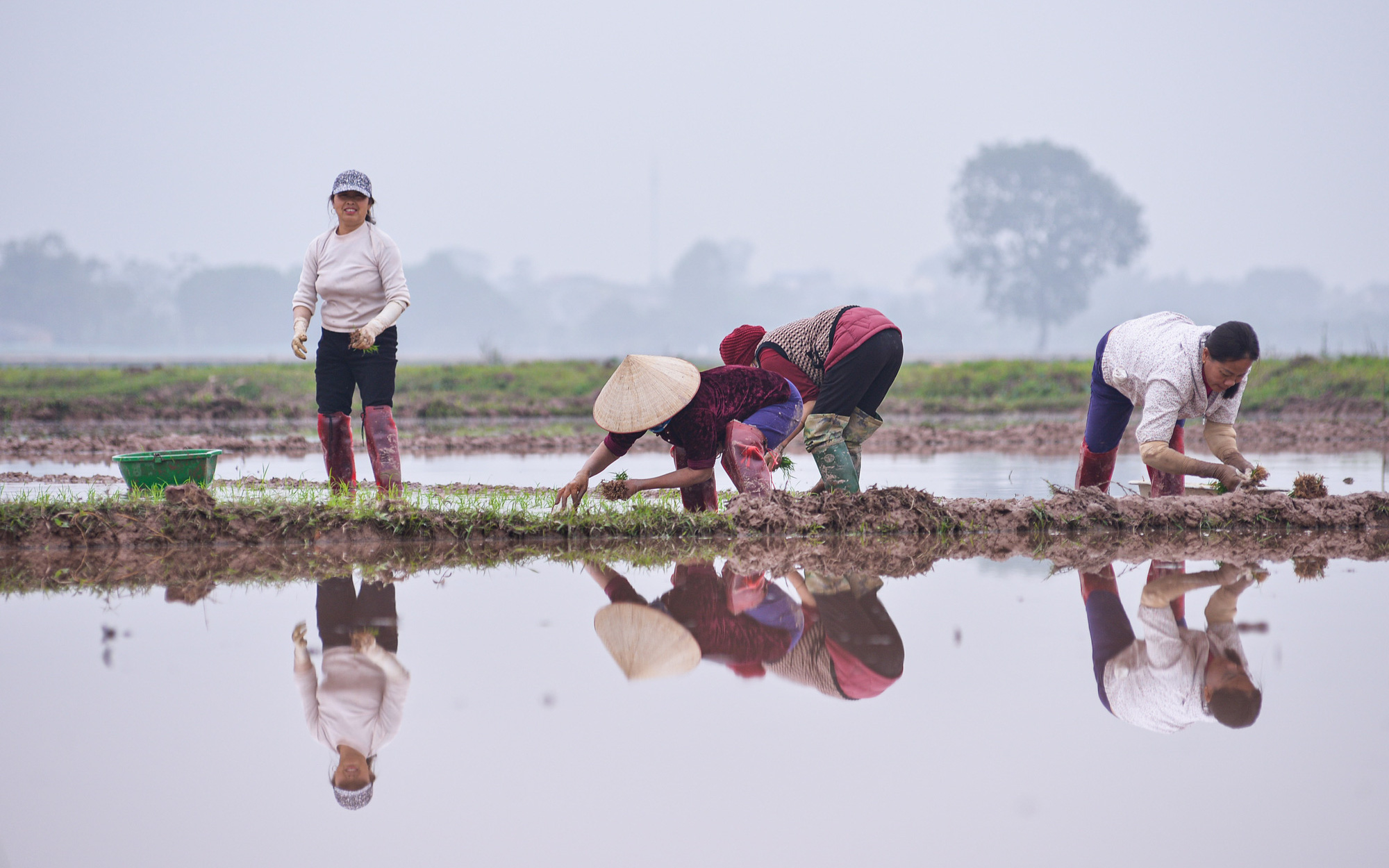 Nông dân ngoại thành Hà Nội hối hả xuống đồng sản xuất vụ Xuân