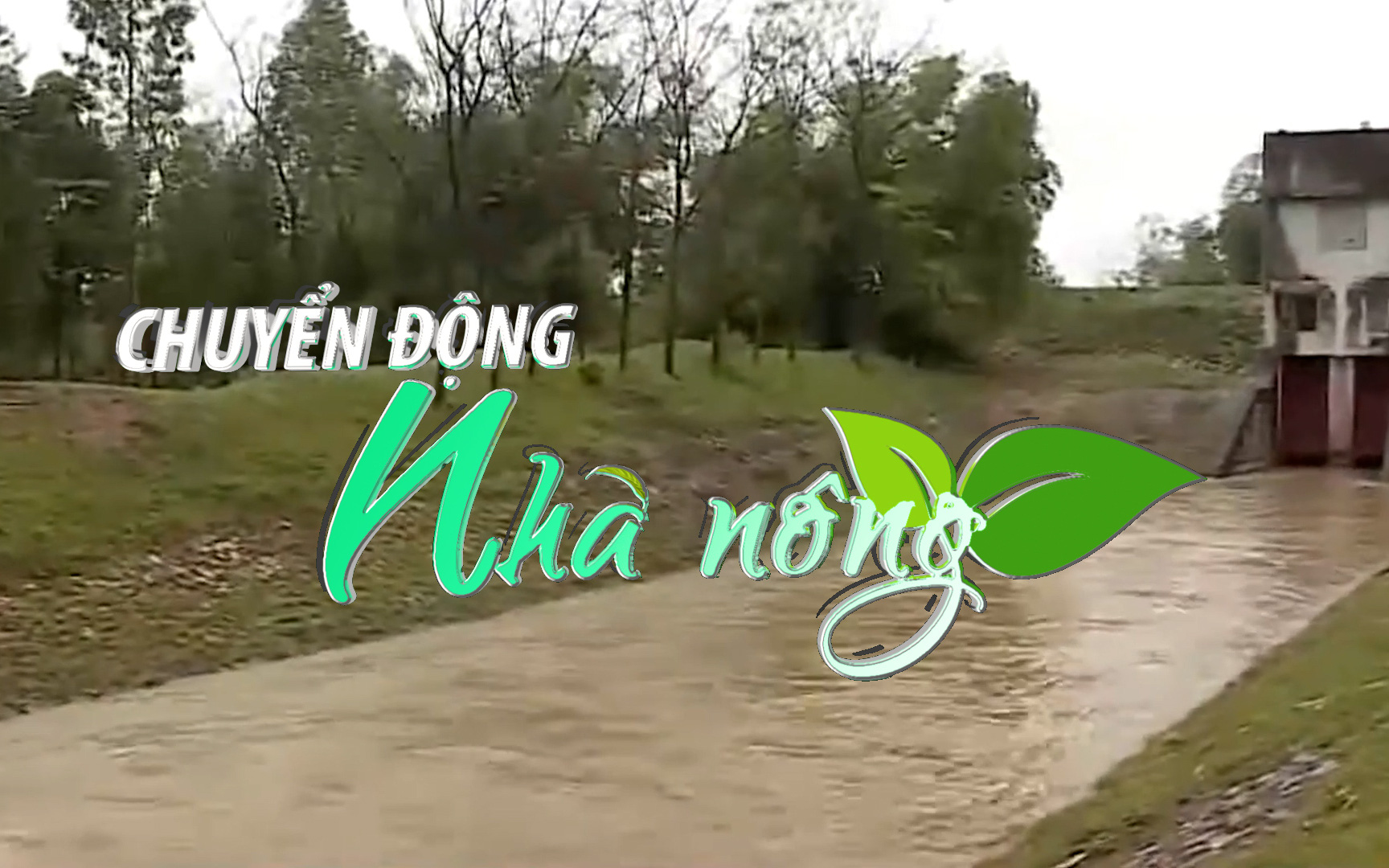 Chuyển động Nhà nông 2/2: Hơn 80% diện tích gieo cấy vụ đông xuân Đồng bằng Bắc bộ đã đủ nước