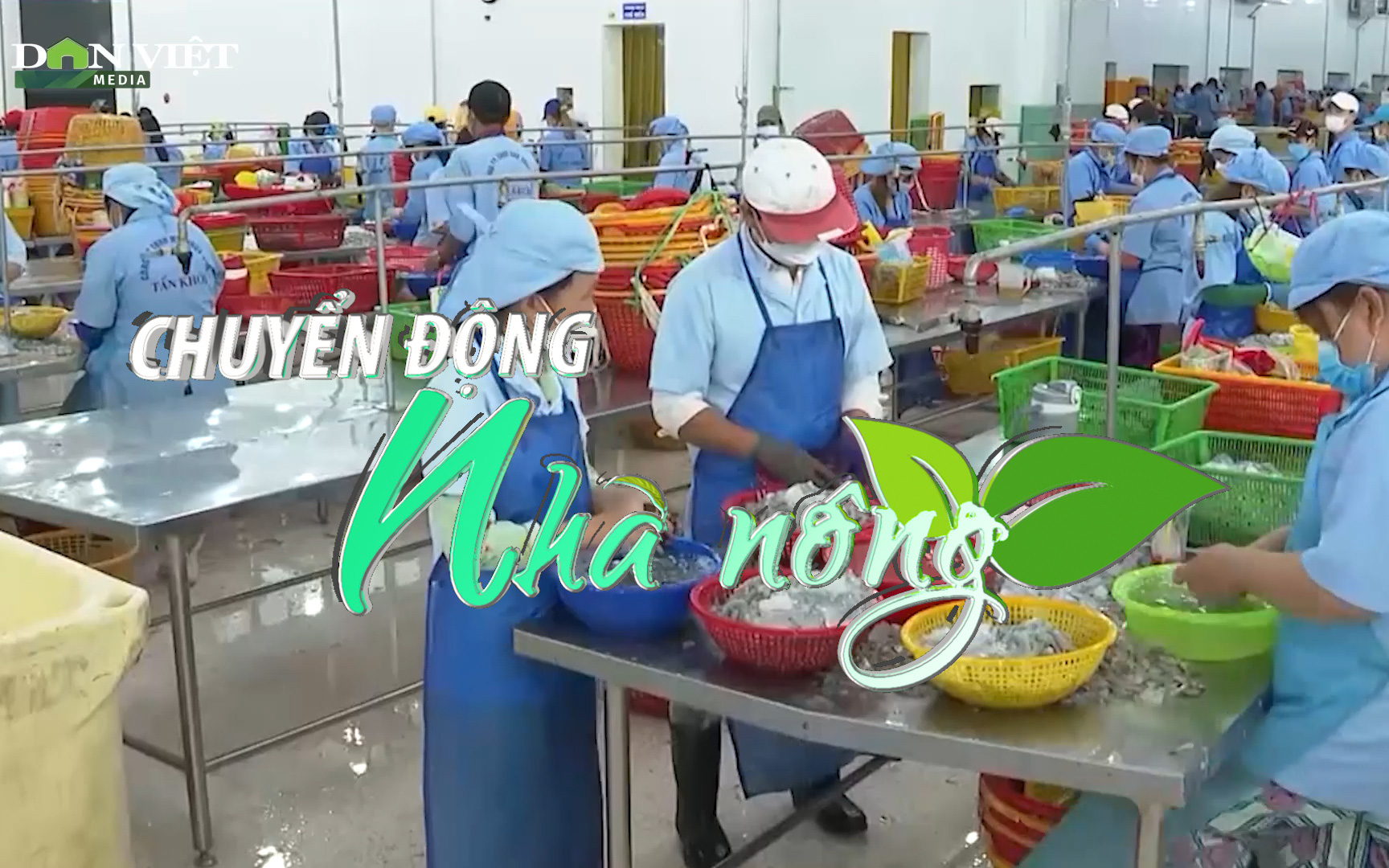 Chuyển động Nhà nông 13/4: Xuất khẩu thủy sản sang Mỹ tăng mạnh