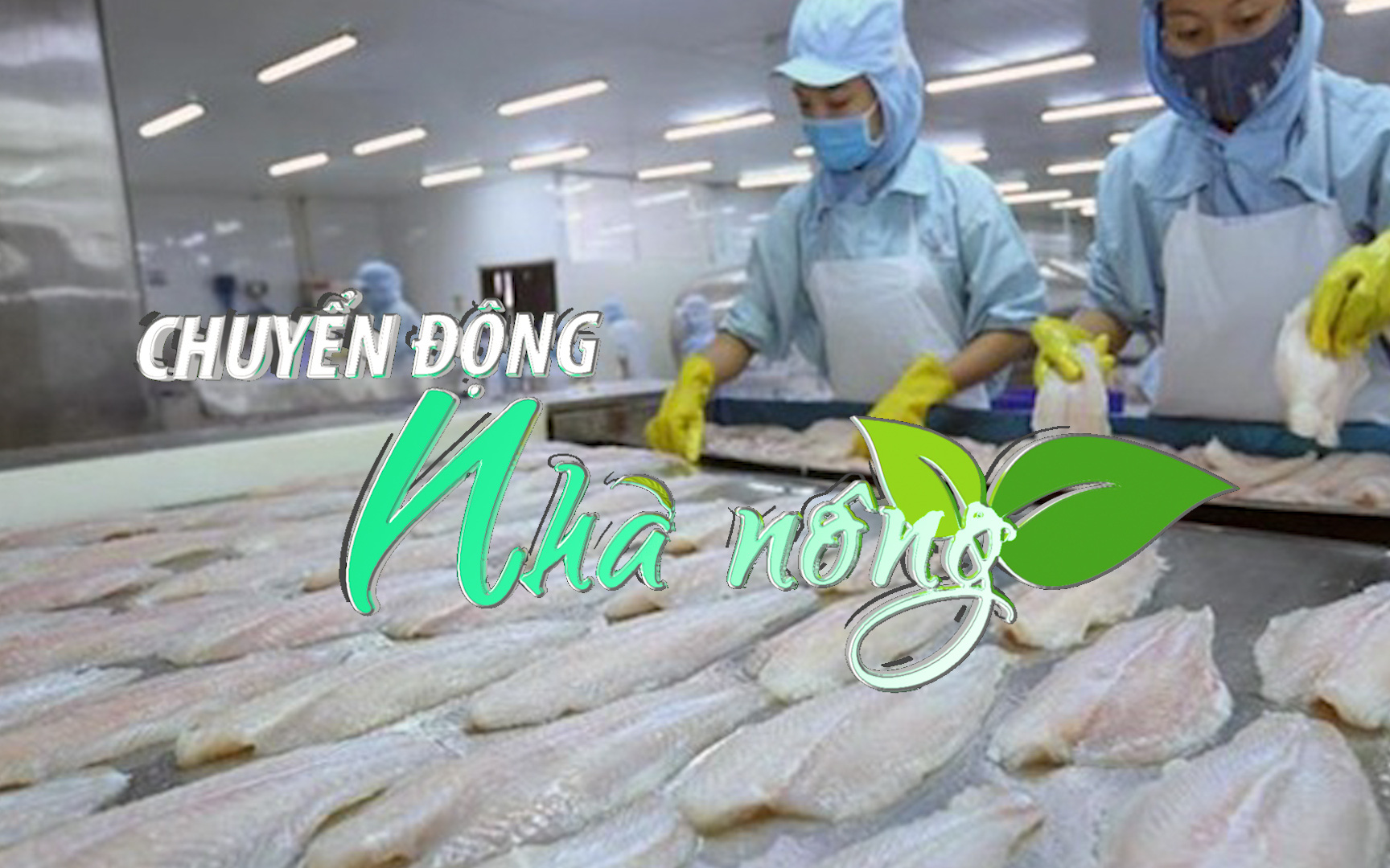 Chuyển động Nhà nông 14/4: Xuất khẩu cá tra sang Malaysia tăng gấp đôi trong quý I