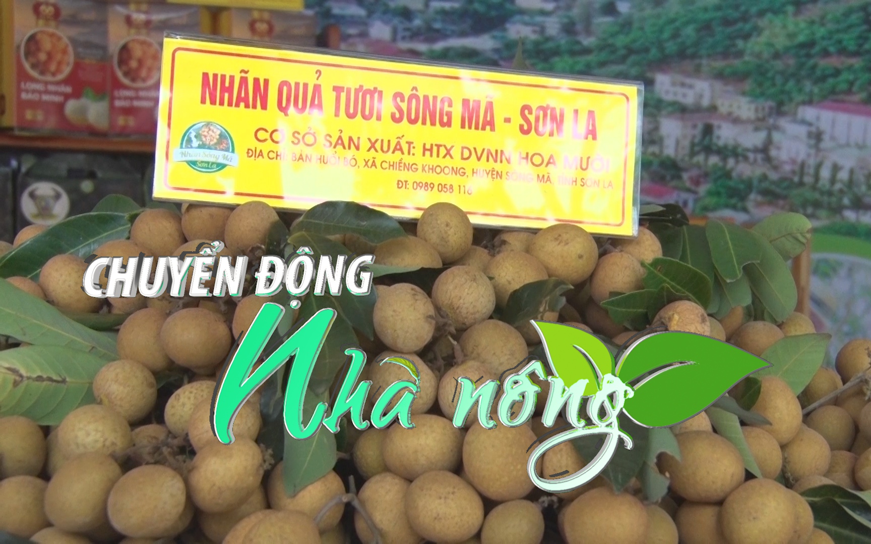 Chuyển động Nhà nông 28/5: Rực rỡ sắc màu tại Festival trái cây và sản phẩm OCOP năm 2022