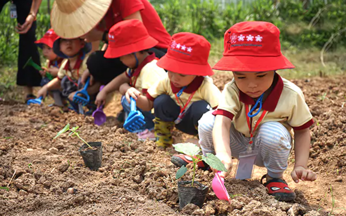 Trải nghiệm "nông dân nhí" giữa lòng Thủ đô