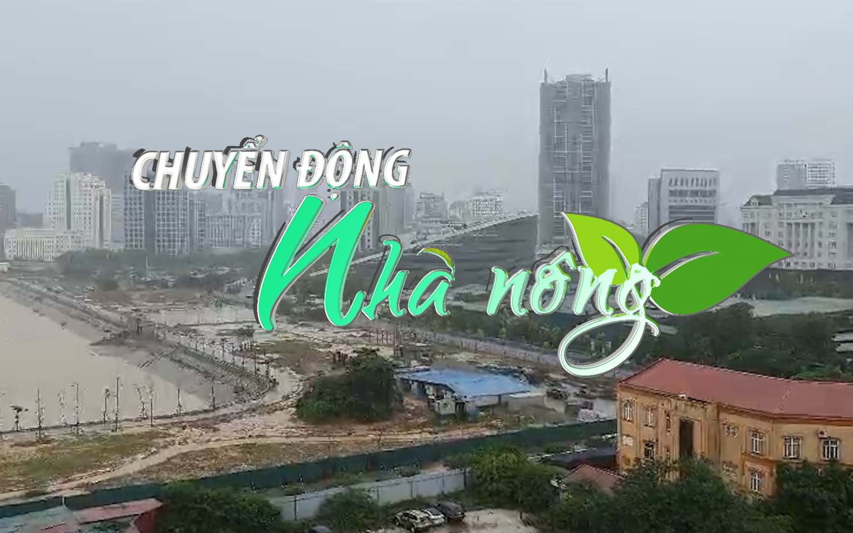 Chuyển động Nhà nông 11/8: Áp thấp nhiệt đới gây mưa lớn ở Bắc Bộ