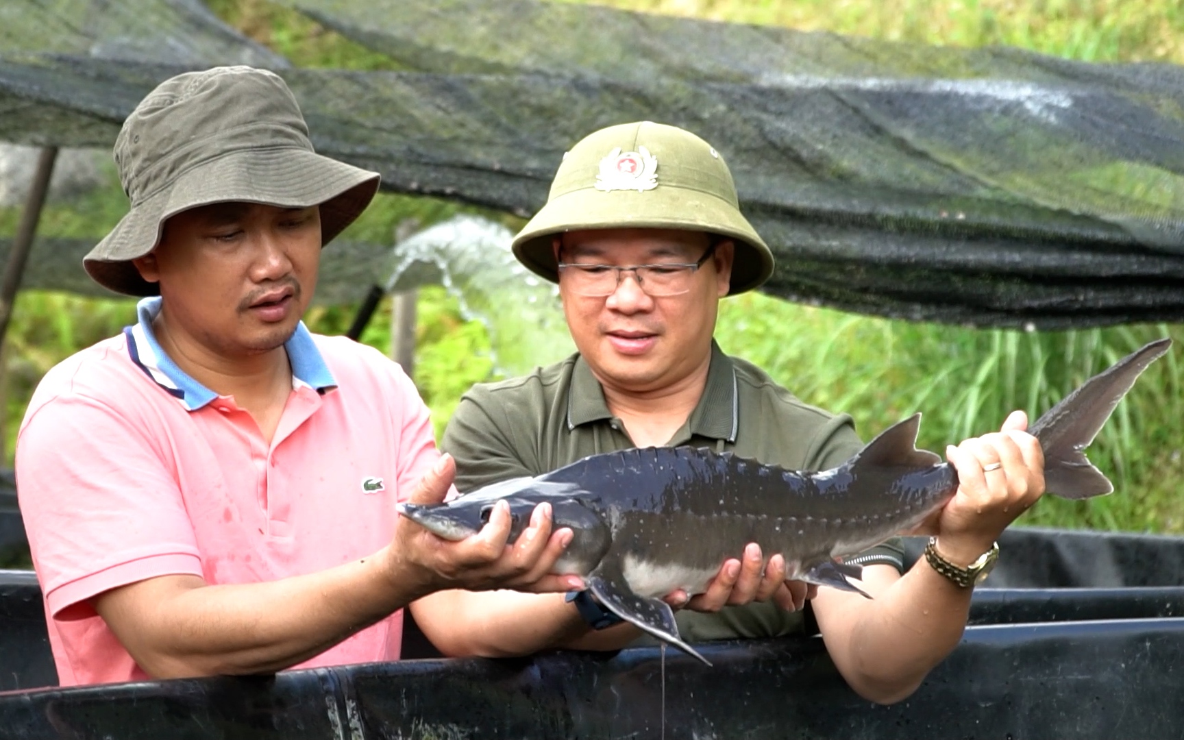 Nuôi loài cá tầm thương phẩm, đồng bào Mông Yên Bái thoát nghèo