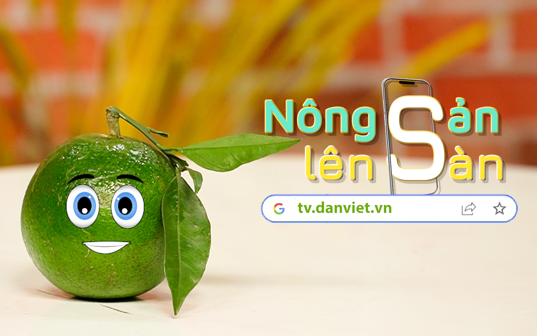 NÔNG SẢN LÊN SÀN: Trái cam sạch Hà Giang khẳng định vị thế trên thị trường nông sản