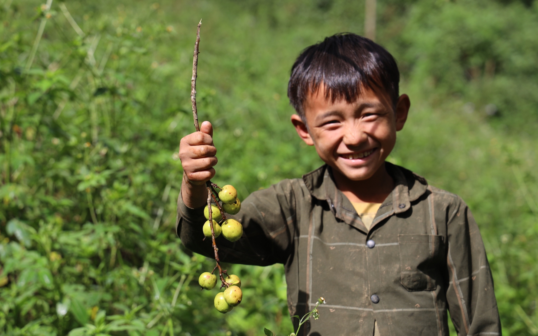 Sơn La rộn ràng mùa táo sơn tra