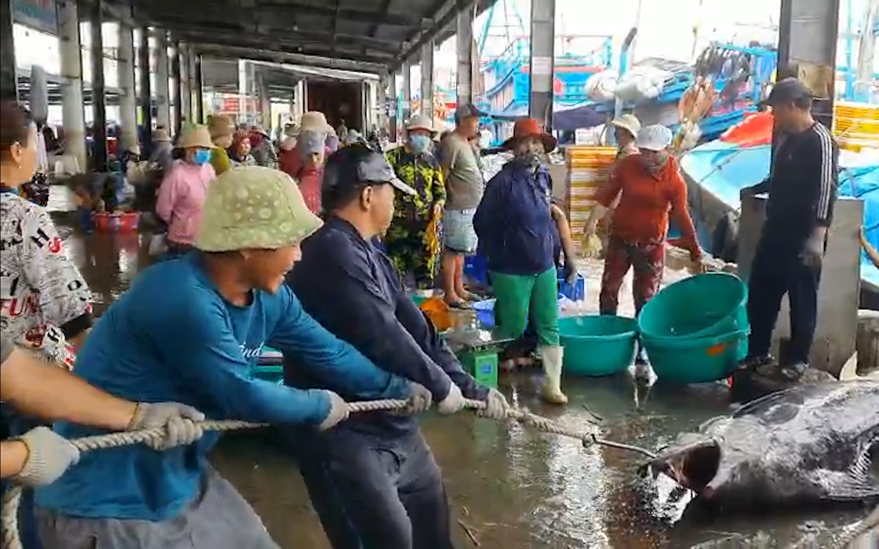 Ngư dân tại Nha Trang hối hả bán tháo hải sản, “chạy” bão Noru