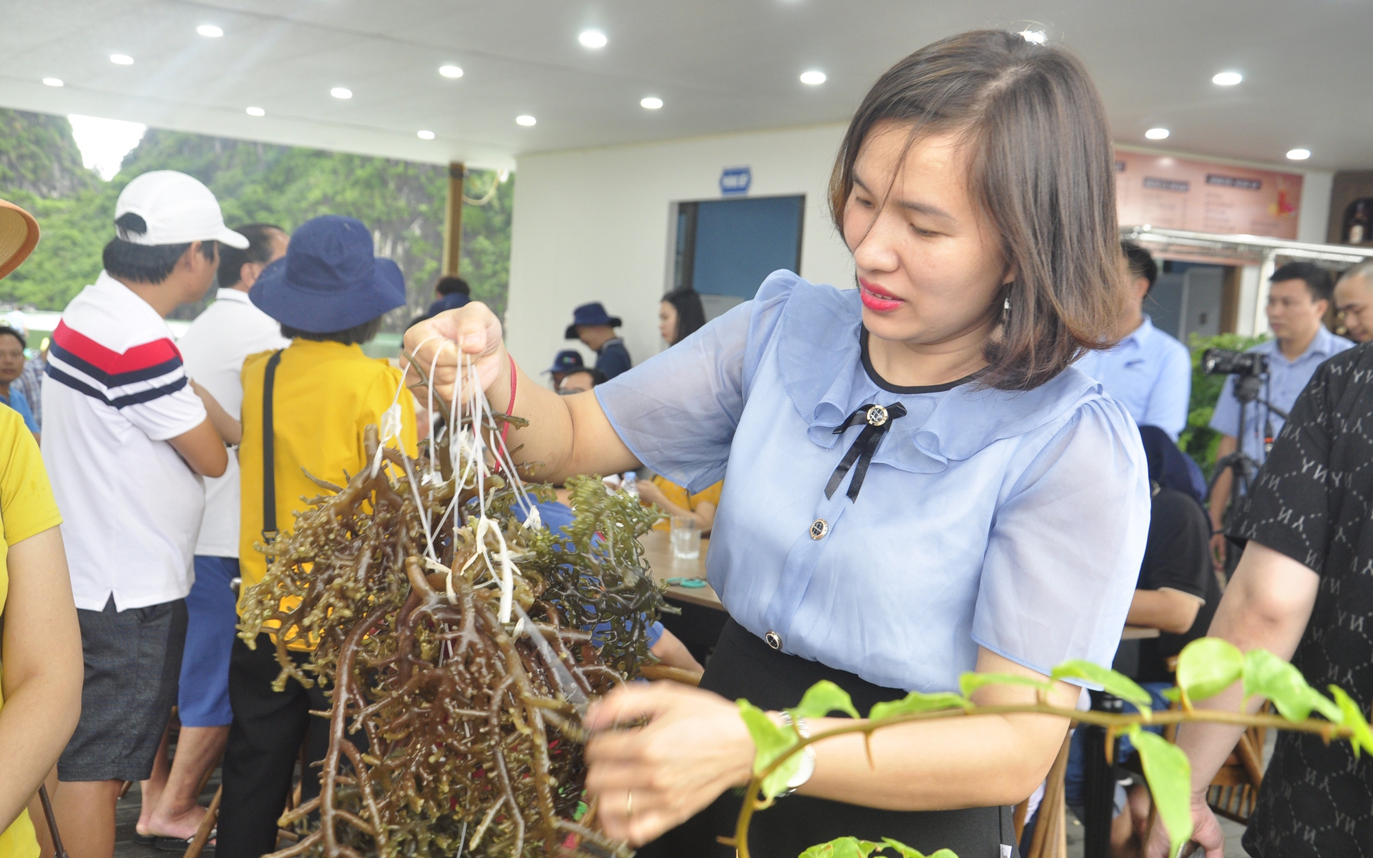 Nuôi cá lồng bè trên biển ứng dụng các tiến bộ kỹ thuật: Hướng đi bền vững