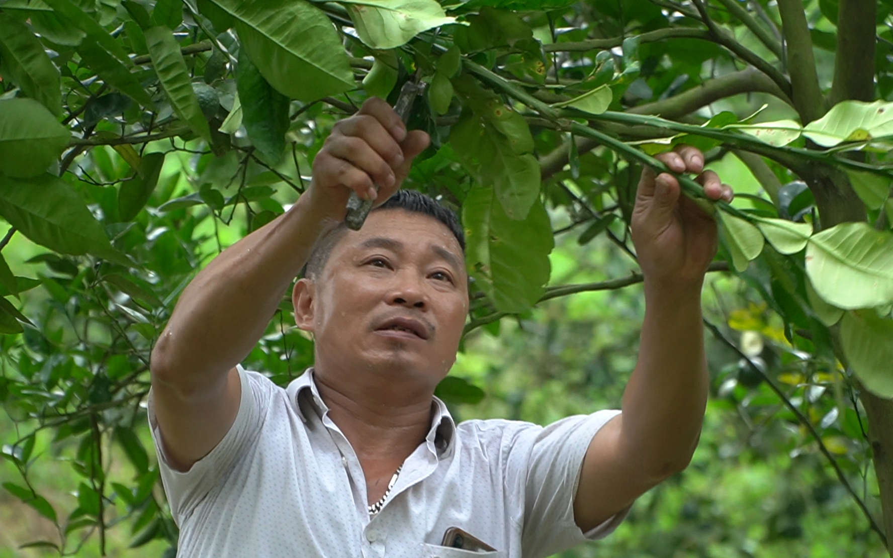  Nông dân SXKD giỏi toàn quốc lần thứ VI: Trần Trung Thuyết, người đi tìm 