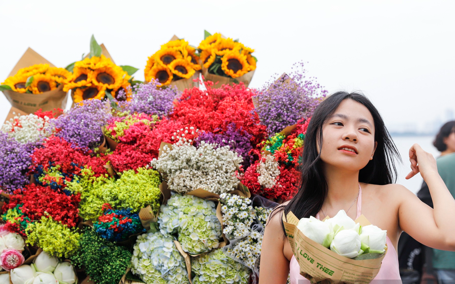 Loài hoa bông nhỏ li ti như hạt gạo với đủ sắc màu bắt đầu xuống phố Hà Nội