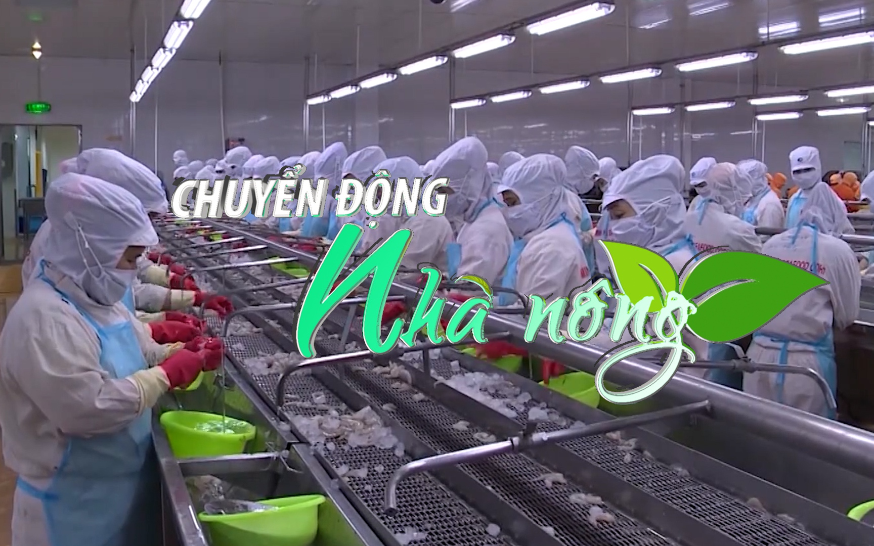 Chuyển động Nhà nông 26/11: Gần 500 tỷ đồng gói tín dụng dành cho lâm, thủy sản đã được TP. HCM giải ngân